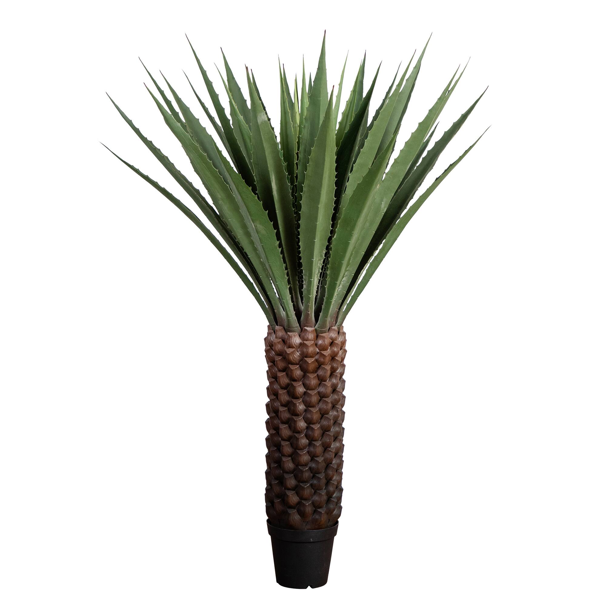 6ft. Potted UV Resistant Giant Agave Plant